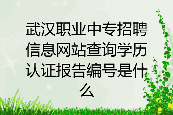武汉职业中专招聘信息网站查询学历认证报告编号是什么