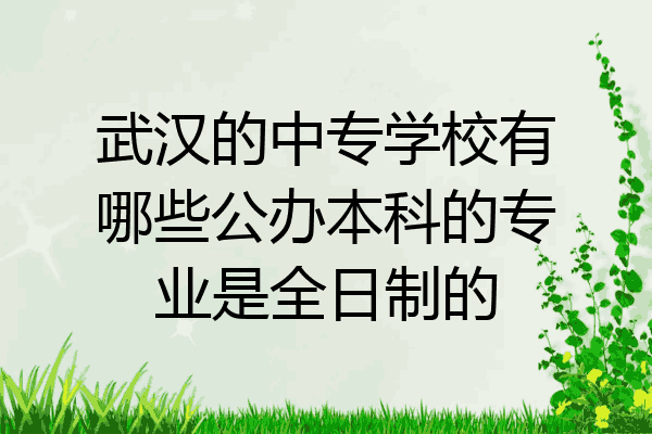 武汉的中专学校有哪些公办本科的专业是全日制的