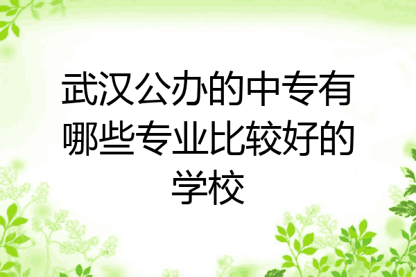 武汉公办的中专有哪些专业比较好的学校