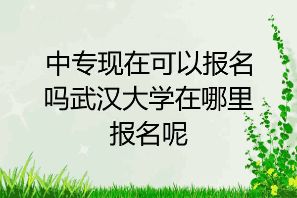 中专现在可以报名吗武汉大学在哪里报名呢