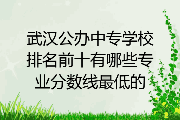 武汉公办中专学校排名前十有哪些专业分数线最低的