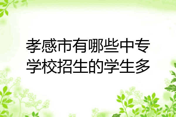 孝感市有哪些中专学校招生的学生多