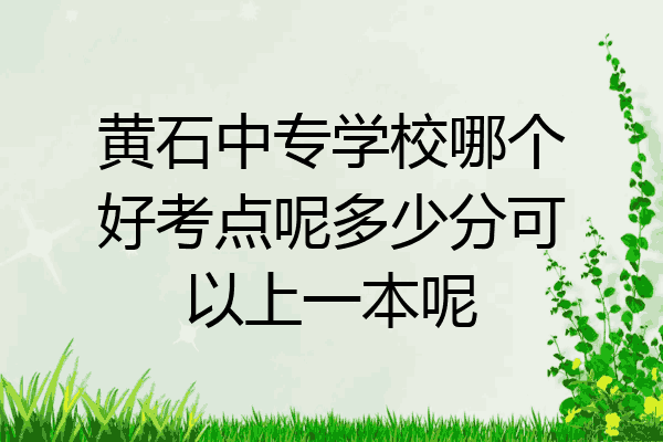 黄石中专学校哪个好考点呢多少分可以上一本呢
