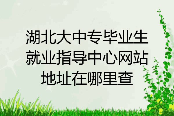 湖北大中专毕业生就业指导中心网站地址在哪里查