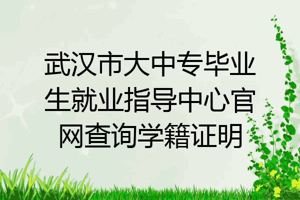武汉市大中专毕业生就业指导中心官网查询学籍证明