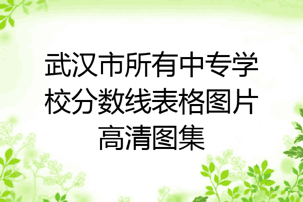 武汉市所有中专学校分数线表格图片高清图集