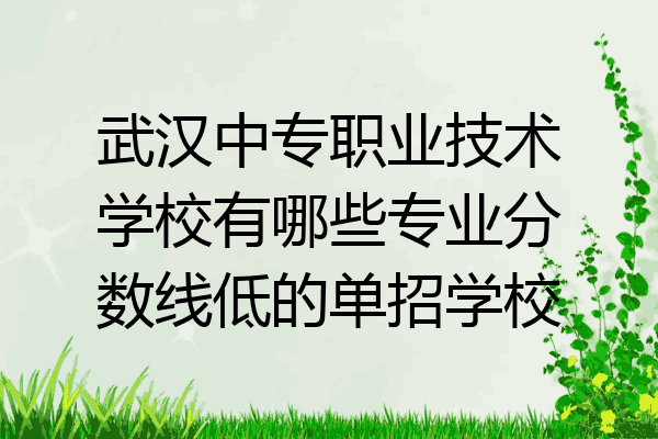 武汉中专职业技术学校有哪些专业分数线低的单招学校