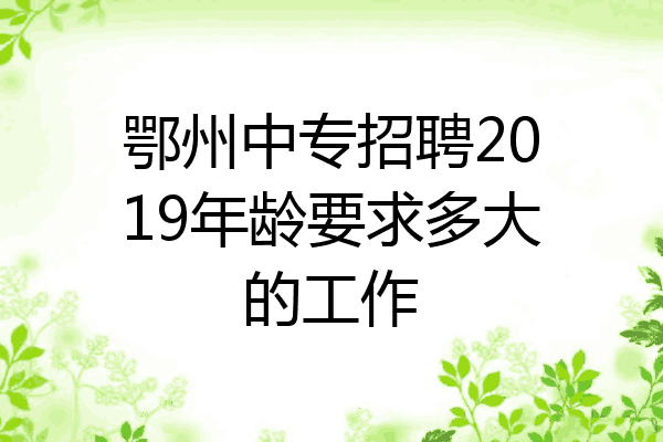 鄂州中专招聘2019年龄要求多大的工作