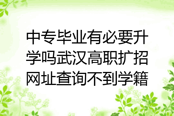 中专毕业有必要升学吗武汉高职扩招网址查询不到学籍