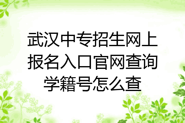 武汉中专招生网上报名入口官网查询学籍号怎么查