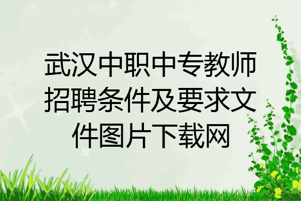 武汉中职中专教师招聘条件及要求文件图片下载网