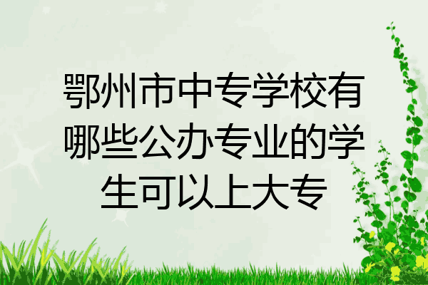 鄂州市中专学校有哪些公办专业的学生可以上大专
