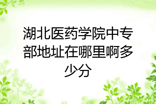 湖北医药学院中专部地址在哪里啊多少分