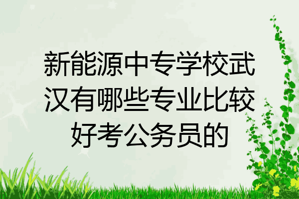 新能源中专学校武汉有哪些专业比较好考公务员的