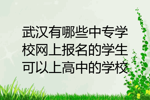 武汉有哪些中专学校网上报名的学生可以上高中的学校