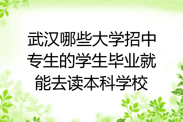 武汉哪些大学招中专生的学生毕业就能去读本科学校