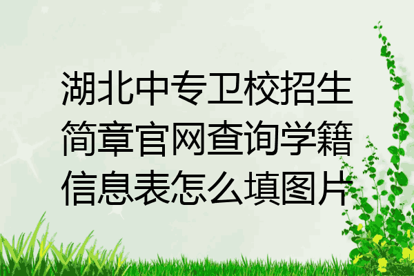 湖北中专卫校招生简章官网查询学籍信息表怎么填图片