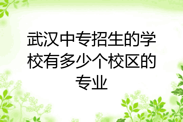 武汉中专招生的学校有多少个校区的专业