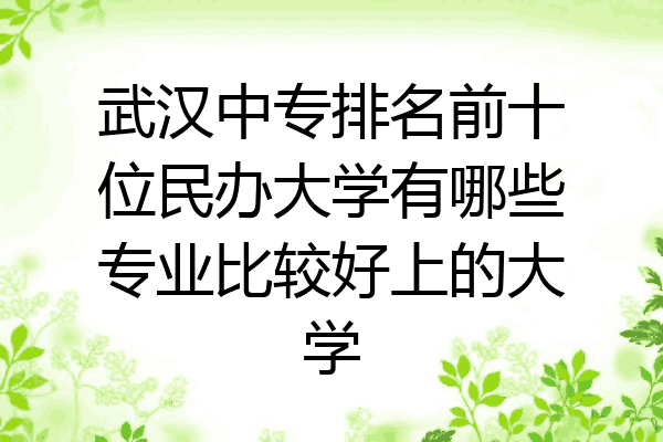 武汉中专排名前十位民办大学有哪些专业比较好上的大学