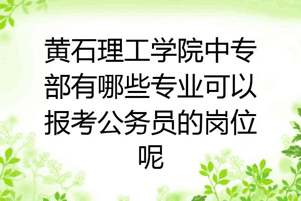 黄石理工学院中专部有哪些专业可以报考公务员的岗位呢