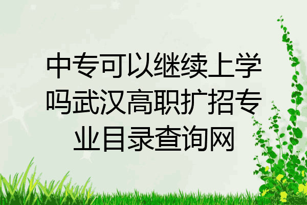 中专可以继续上学吗武汉高职扩招专业目录查询网
