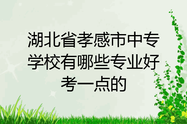 湖北省孝感市中专学校有哪些专业好考一点的