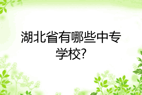湖北省有哪些中专学校?