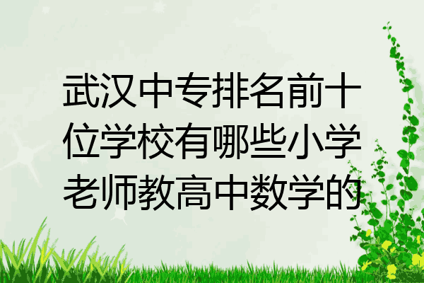 武汉中专排名前十位学校有哪些小学老师教高中数学的