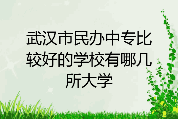 武汉市民办中专比较好的学校有哪几所大学