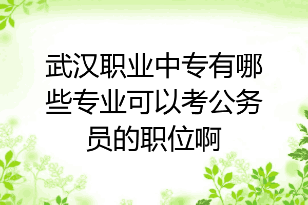 武汉职业中专有哪些专业可以考公务员的职位啊