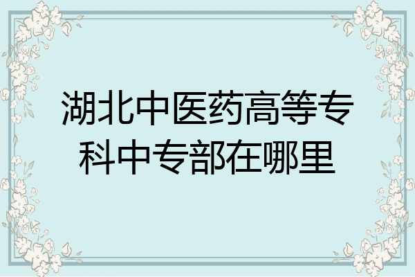 湖北中医药高等专科中专部在哪里
