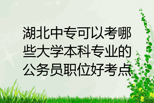 湖北中专可以考哪些大学本科专业的公务员职位好考点