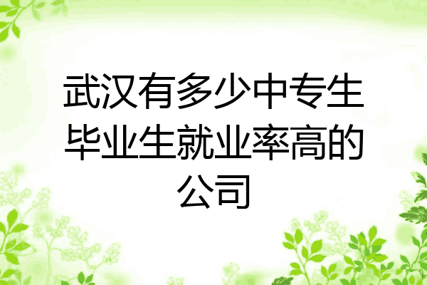 武汉有多少中专生毕业生就业率高的公司