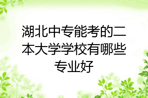 湖北中专能考的二本大学学校有哪些专业好