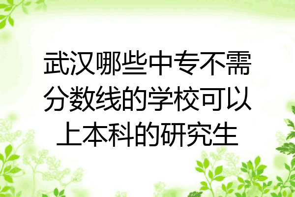 武汉哪些中专不需分数线的学校可以上本科的研究生