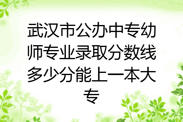武汉市公办中专幼师专业录取分数线多少分能上一本大专