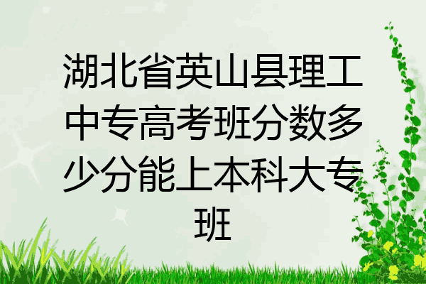 湖北省英山县理工中专高考班分数多少分能上本科大专班