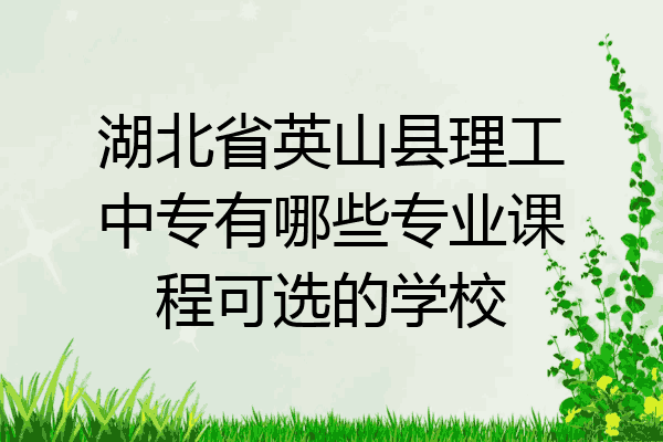 湖北省英山县理工中专有哪些专业课程可选的学校
