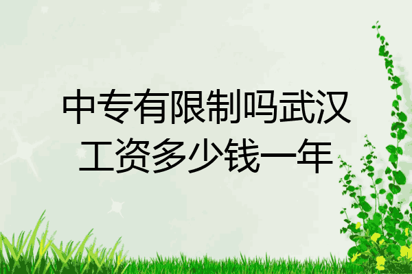 中专有限制吗武汉工资多少钱一年