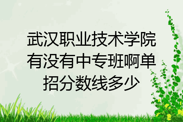 武汉职业技术学院有没有中专班啊单招分数线多少