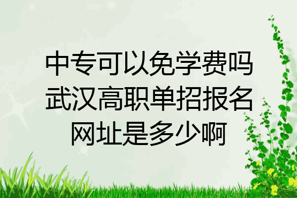 中专可以免学费吗武汉高职单招报名网址是多少啊