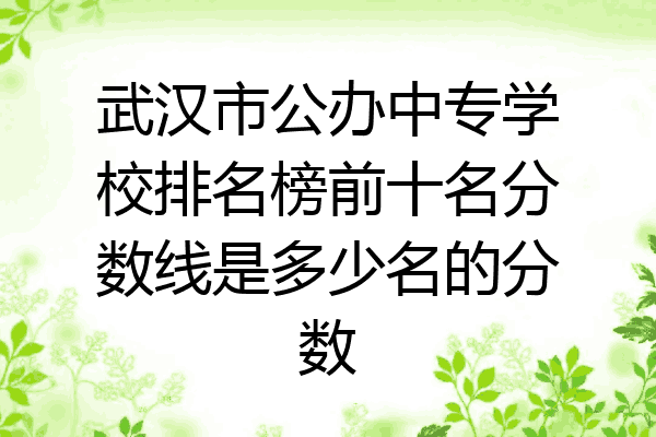 武汉市公办中专学校排名榜前十名分数线是多少名的分数