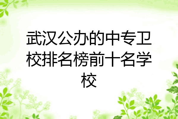 武汉公办的中专卫校排名榜前十名学校