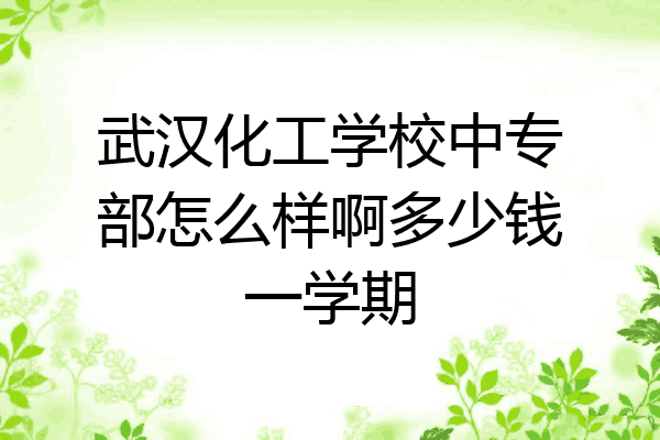 武汉化工学校中专部怎么样啊多少钱一学期
