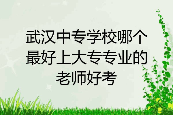 武汉中专学校哪个最好上大专专业的老师好考