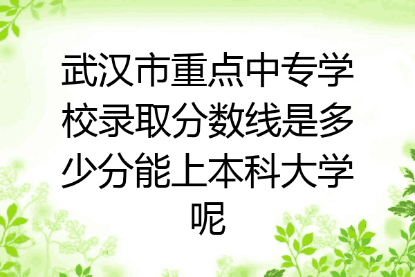 武汉市重点中专学校录取分数线是多少分能上本科大学呢