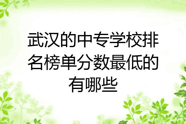 武汉的中专学校排名榜单分数最低的有哪些