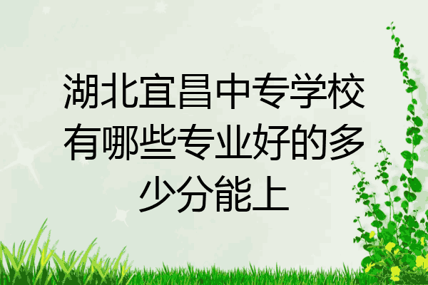 湖北宜昌中专学校有哪些专业好的多少分能上
