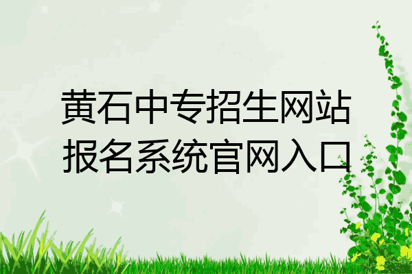 黄石中专招生网站报名系统官网入口