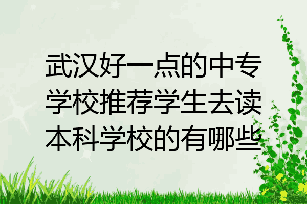 武汉好一点的中专学校推荐学生去读本科学校的有哪些